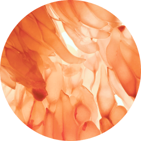 ARMRA Unflavored Jar